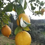 A Casa Dos Avos - Local *