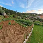 A Casa Dos Avos - Local Feriehus Sertã