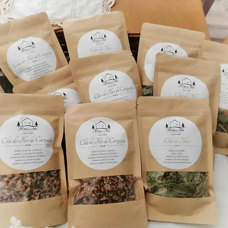 A Casa Dos Avos - Local * Sertã