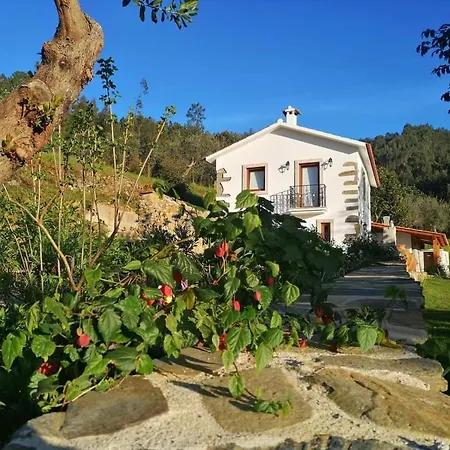 Holiday home A Casa Dos Avos - Local *