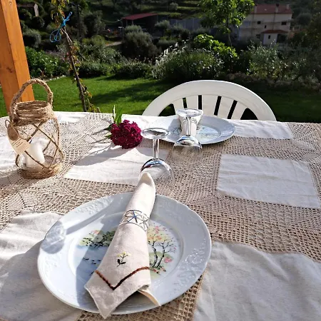 A Casa Dos Avos - Local Sertã