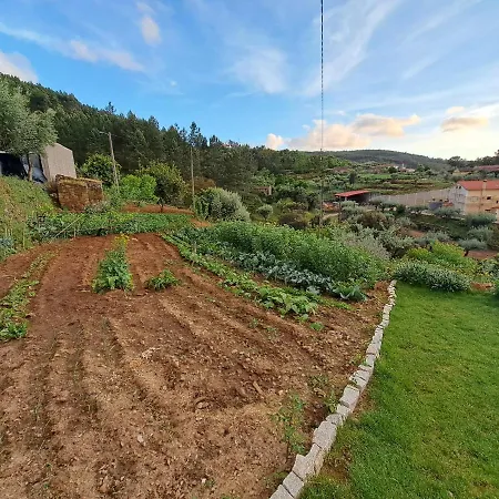 A Casa Dos Avós - Local Сasa de vacaciones Sertã