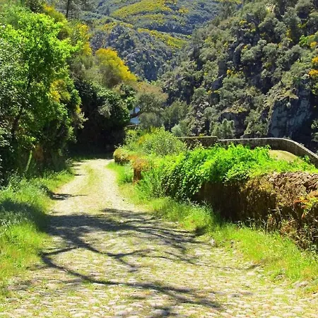 別荘 A Casa Dos Avos - Local Sertã