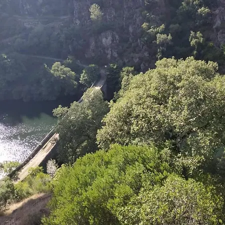 A Casa Dos Avos - Local Sertã