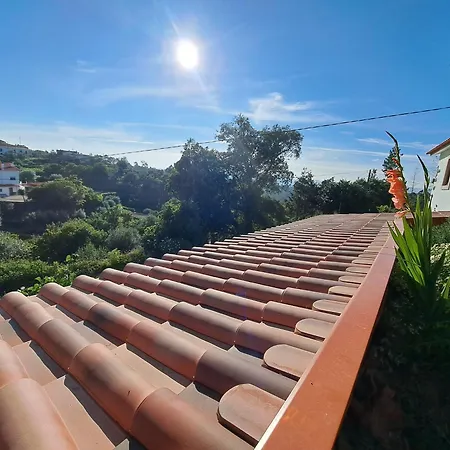 A Casa Dos Avos - Local * Sertã