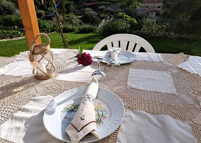 A Casa Dos Avos - Local Sertã
