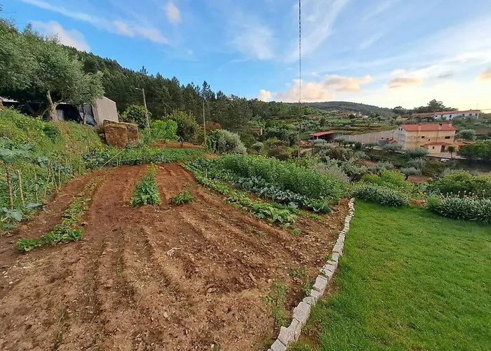 A Casa Dos Avos - Local Feriehus Sertã