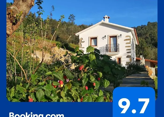 Feriehus A Casa Dos Avos - Local Sertã
