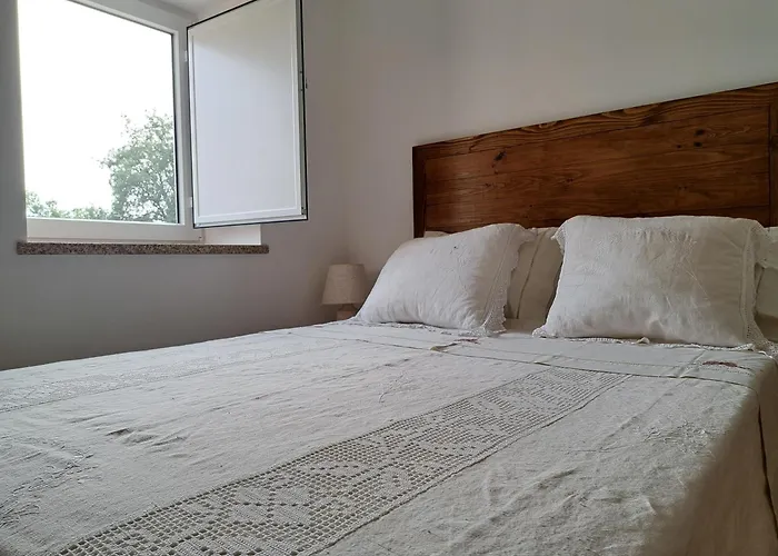 A Casa Dos Avos - Local Feriehus Sertã